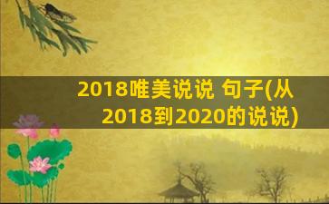 2018唯美说说 句子(从2018到2020的说说)